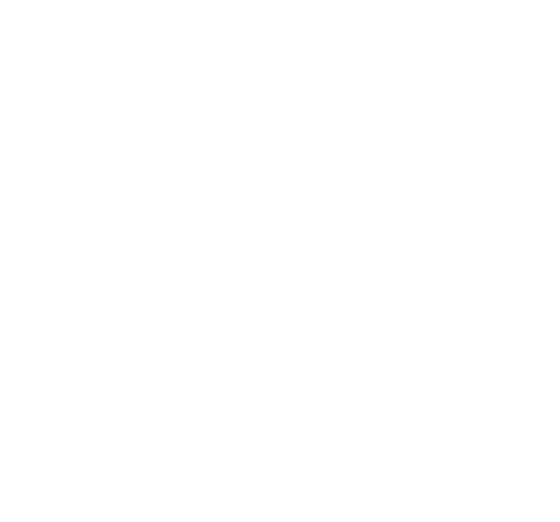 Logo Footer